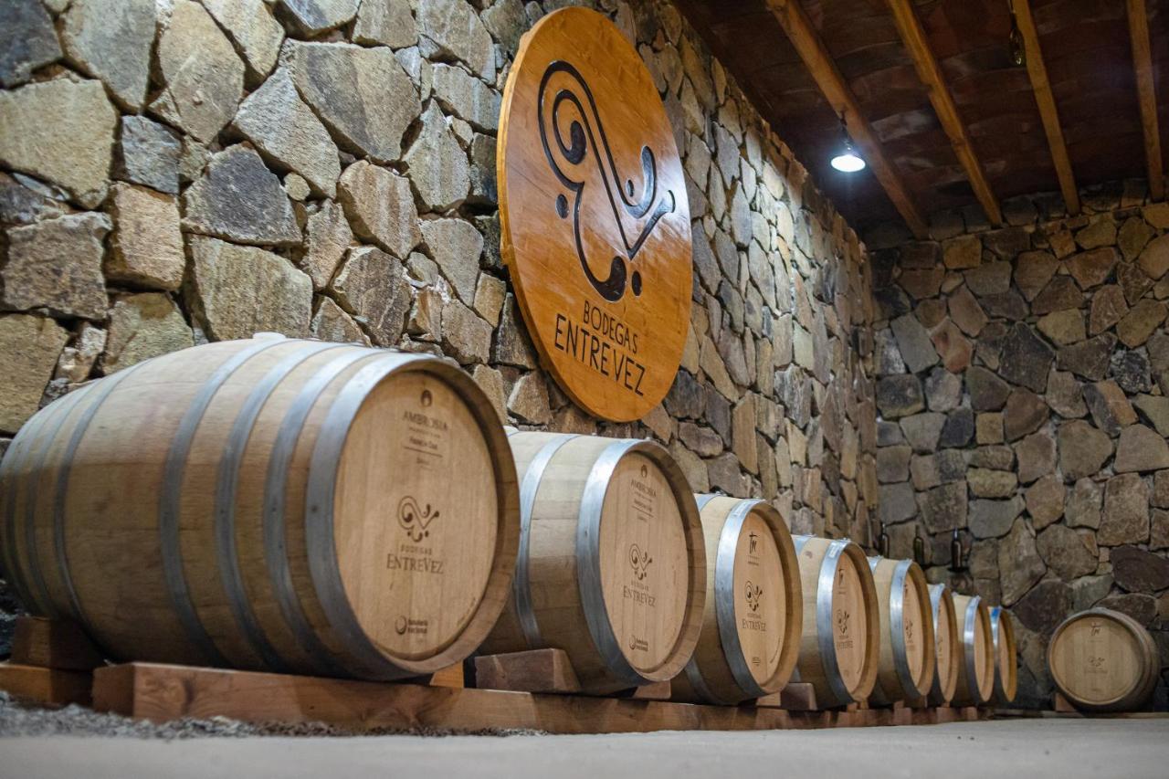 Casa Entrevez Bed & Breakfast Valle de Guadalupe Ngoại thất bức ảnh