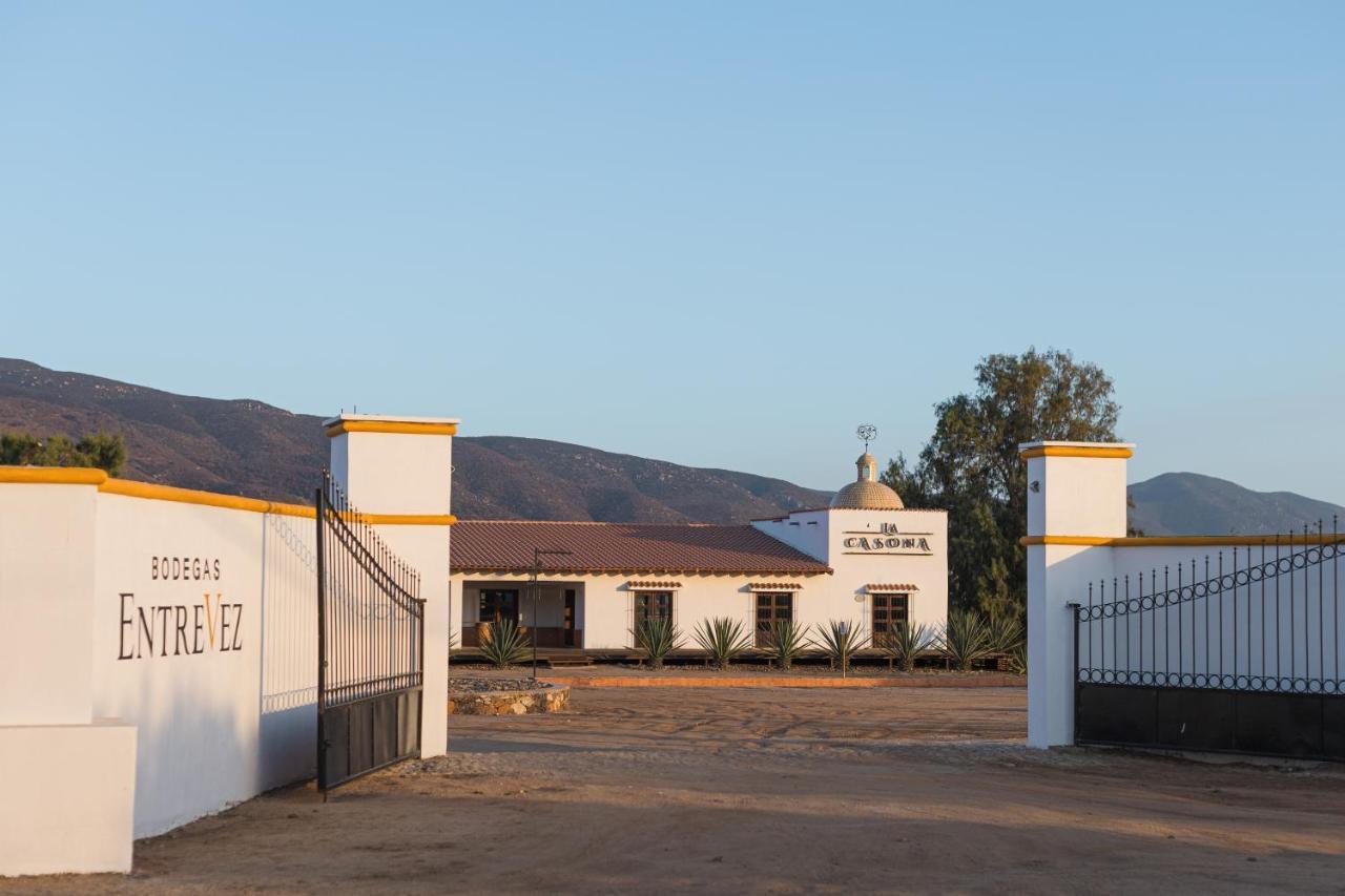 Casa Entrevez Bed & Breakfast Valle de Guadalupe Ngoại thất bức ảnh