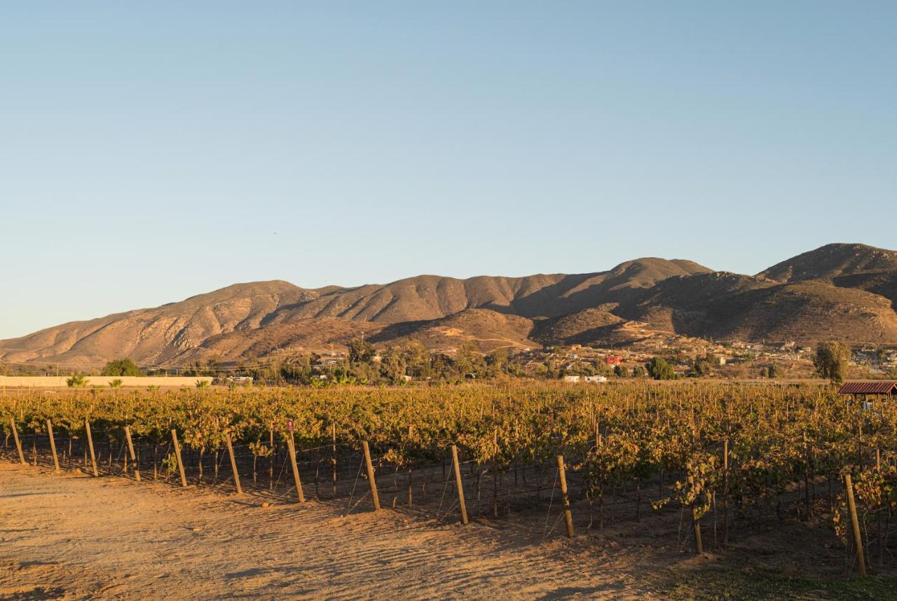 Casa Entrevez Bed & Breakfast Valle de Guadalupe Ngoại thất bức ảnh